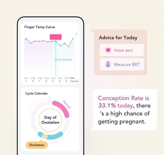 how to track ovulation